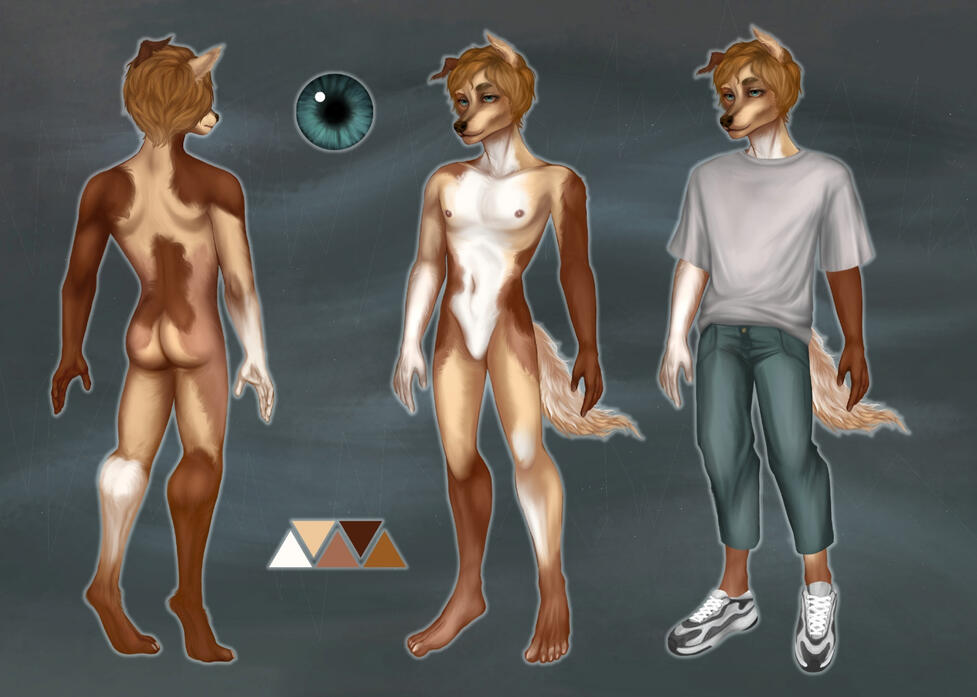 Reference